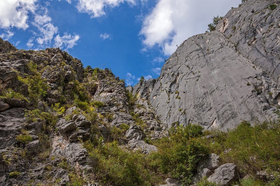 murder-mystery-riddles-image-3