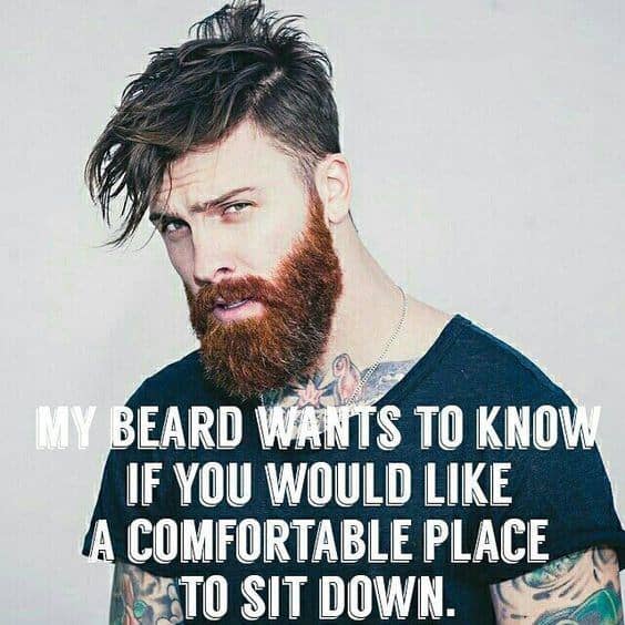 My Beard Wants To Know If You Would Like A Comfortable Place To Sit Down Beard Memes