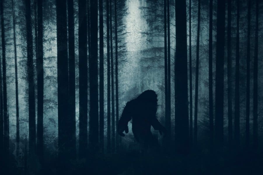 mysterious bigfoot figure