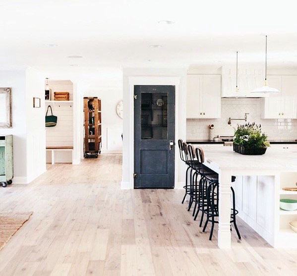 vintage navy blue pantry door in large spacious white kitchen 