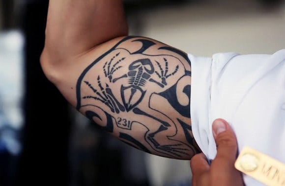 Navy Seal Bone Frog Bicep Tattoos For Men