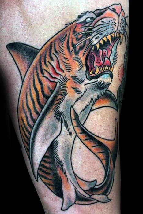 Neo-traditional tattoo of a tiger-shark hybrid with fierce expression, orange and black stripes, and bold dynamic lines.
