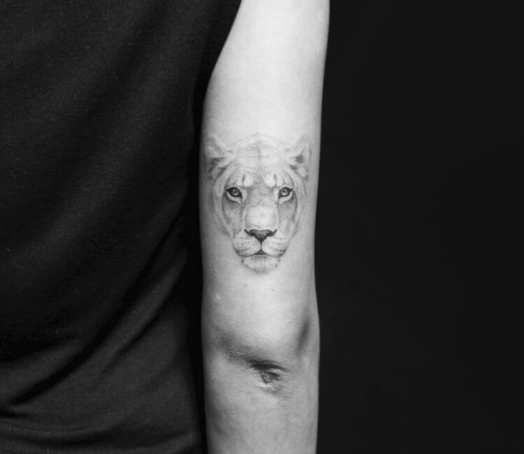 Small, realistic lioness tattoo on the upper arm, featuring fine shading and intricate details for a subtle yet powerful design.