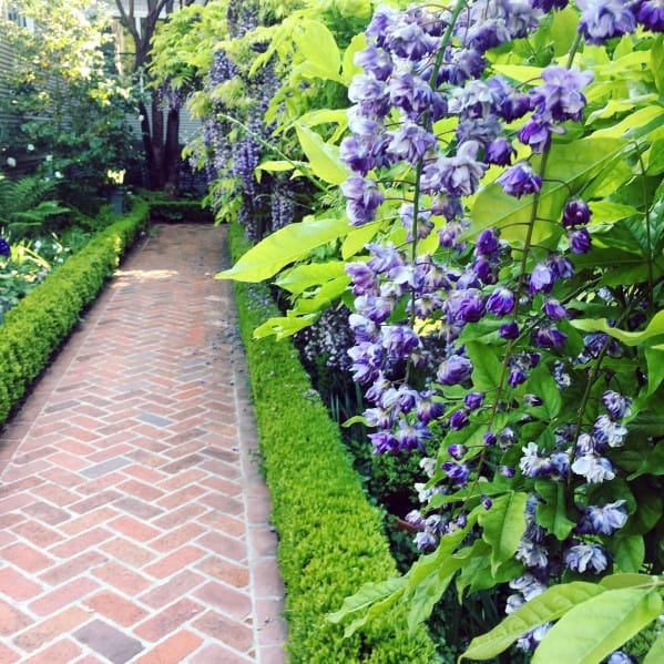 Charming brick walkway bordered by lush green hedges and vibrant purple flowers, creating a serene garden path