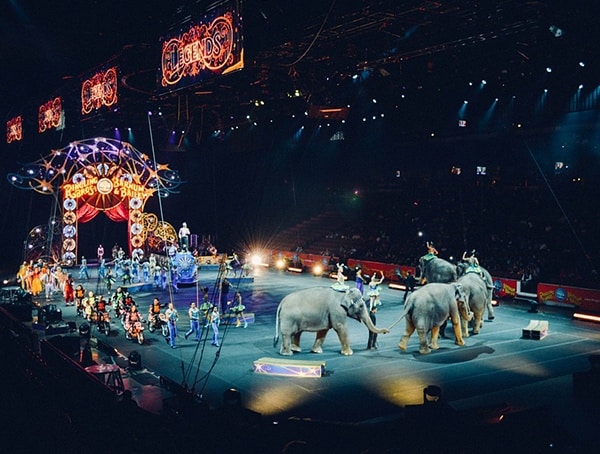 Not My Circus Lessons About Life For Men