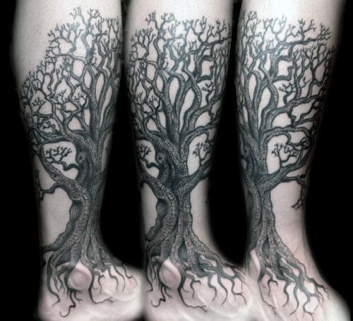 Oak Tree Tattoo With Multiple Twigs Tattoo On Calves For Men