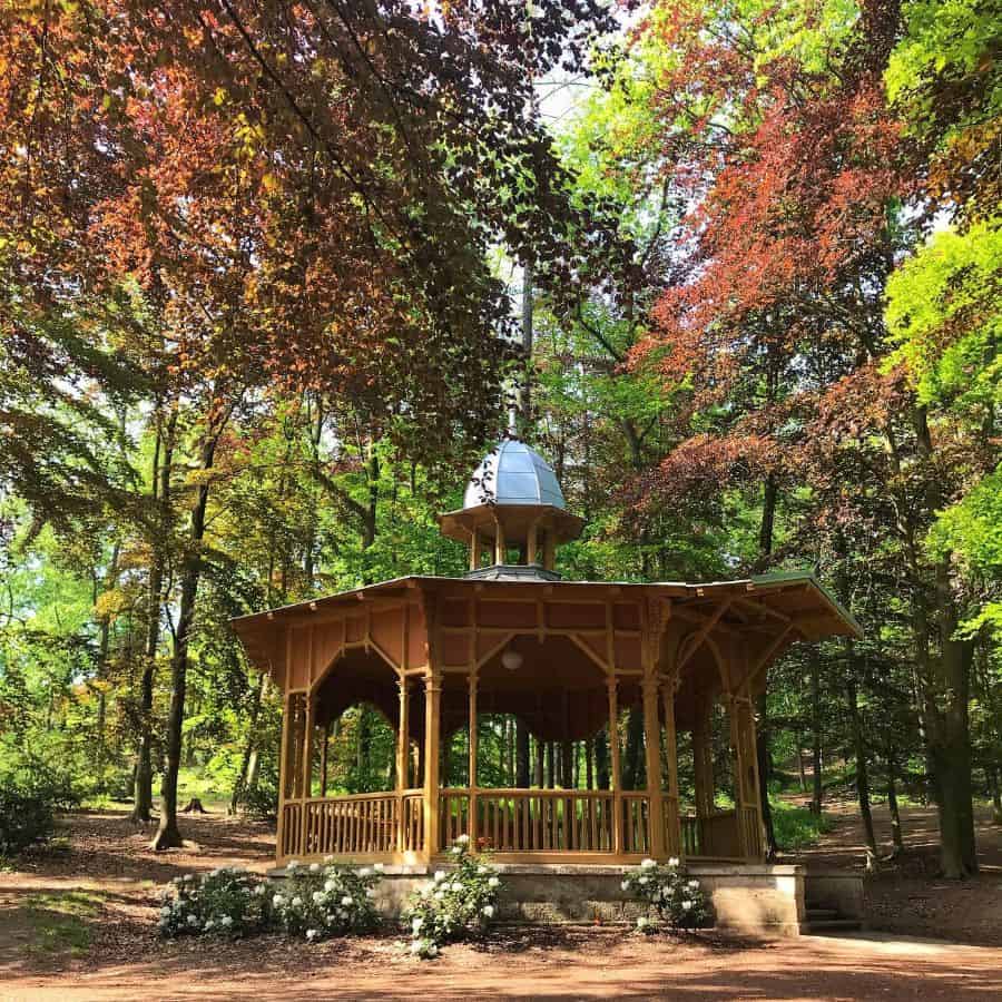wood octagon gazebo forest