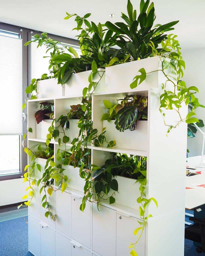 office indoor garden 