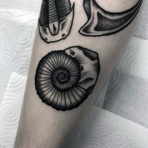 Old School Traditional Forearm Ammonite Guys Tattoo Ideas