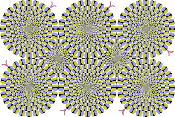 optical-illusion-pictures-14