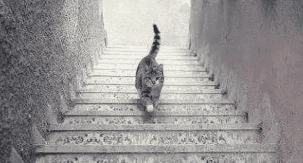 optical-illusion-pictures-15