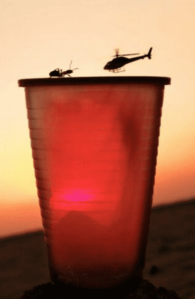 optical-illusion-pictures-6