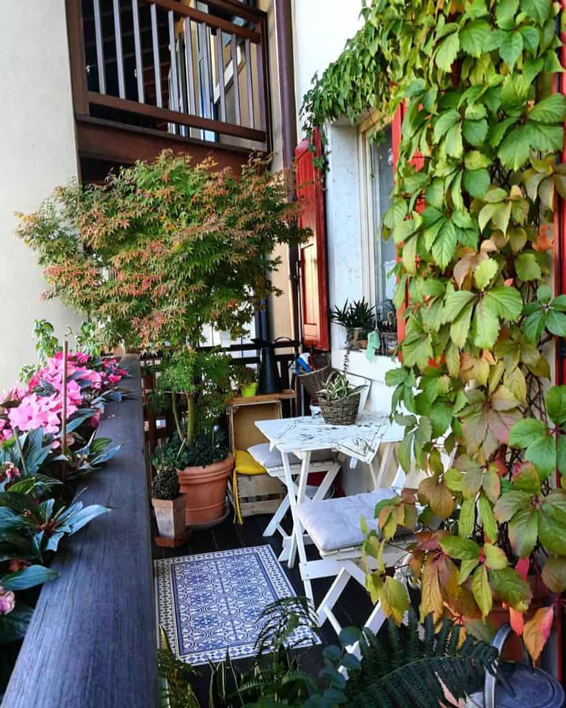 Charming balcony with ornamental plants, small table, and ivy-covered walls.