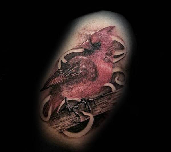 Ornate Cardinal Male Tattoo On Upper Arm