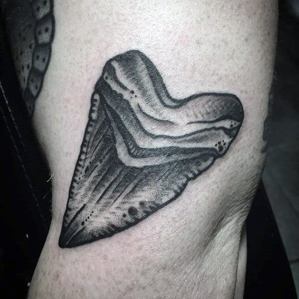 Outer Arm Male Shark Tooth Tattoo Design Ideas