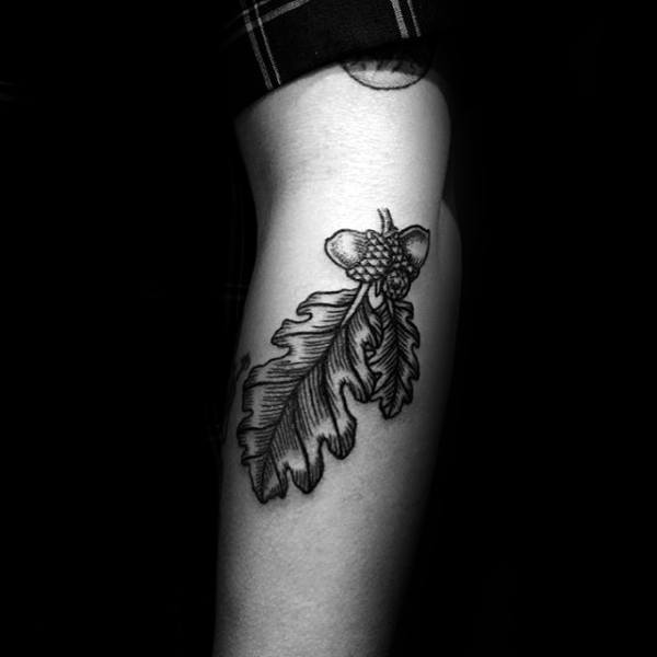 Outer Forearm Guys Acorn Tattoos