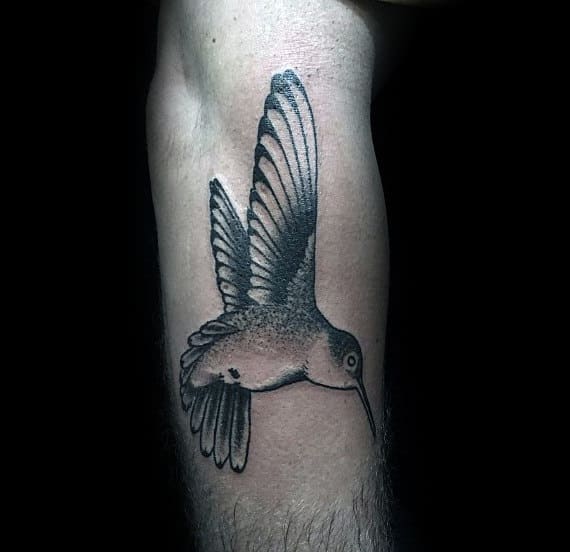 Outer Forearm Male Hummingbird Tattoos