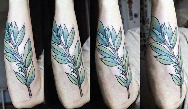 Outer Forearm Male Olive Branch Tattoo Ideas