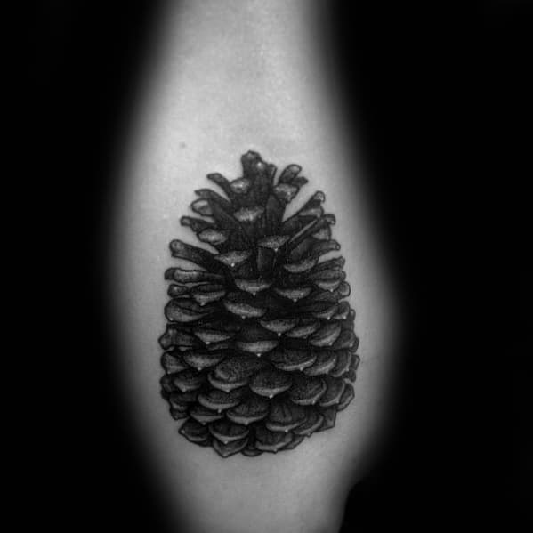 Outer Forearm Tattoo Of Pine Cone On Gentleman