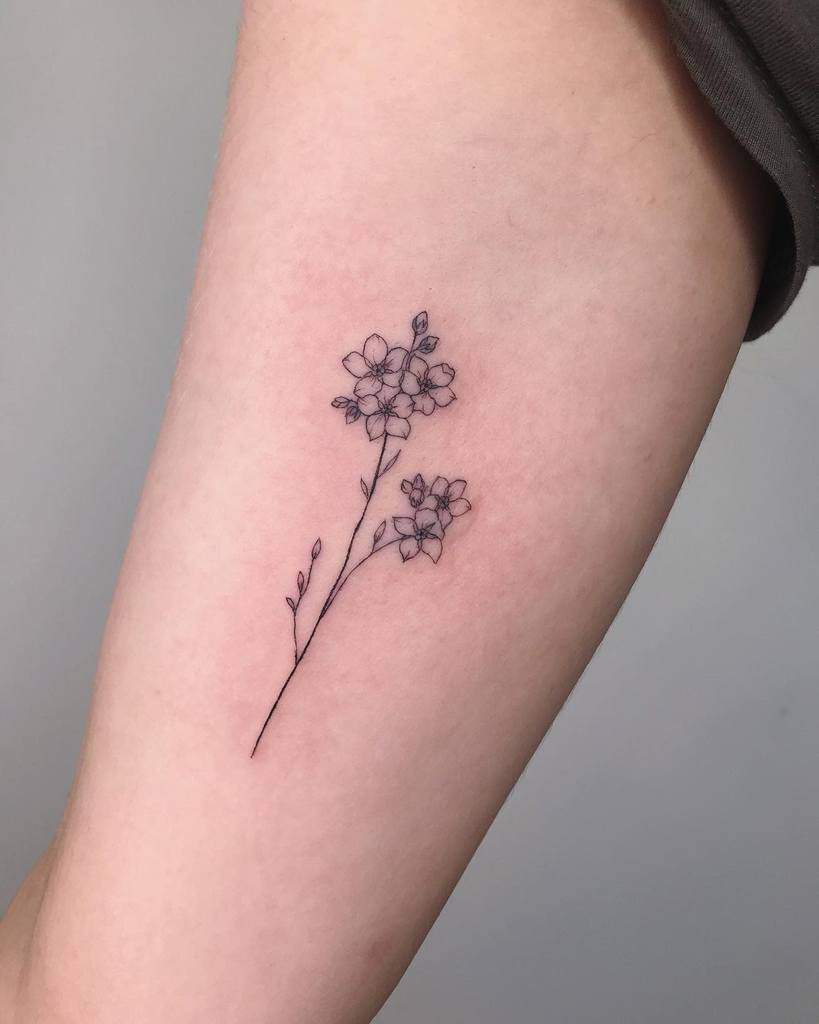Delicate black ink floral tattoo of forget-me-nots on forearm