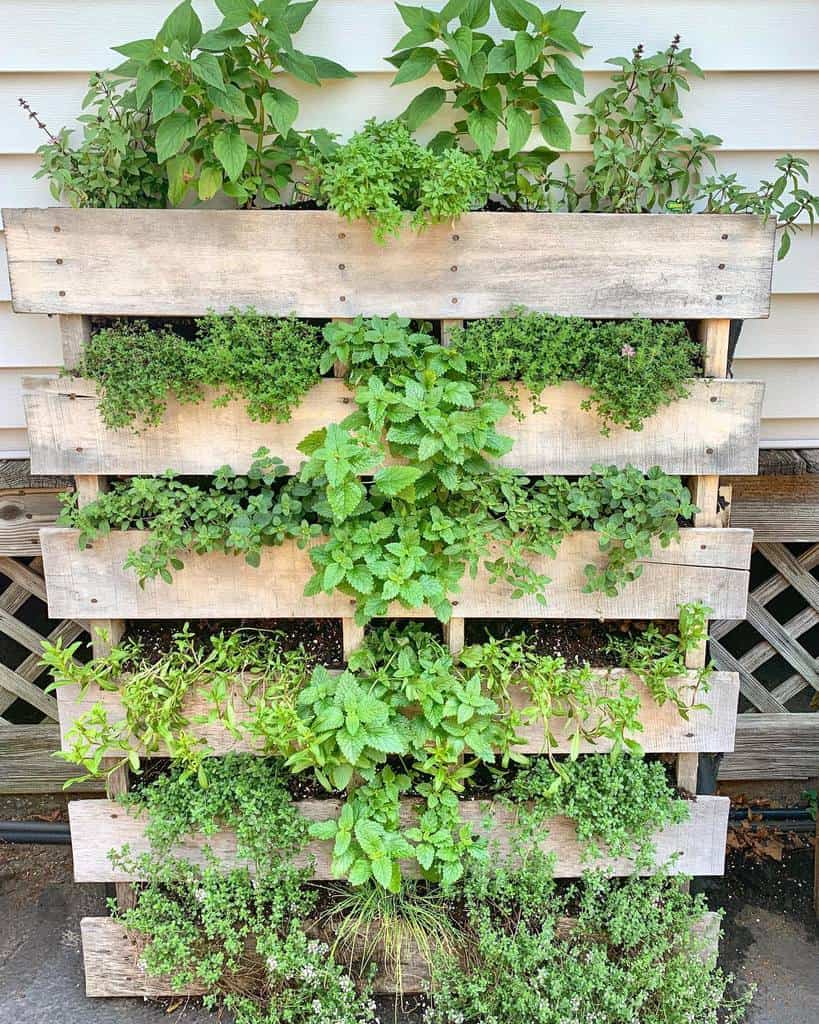 vertical pallet herb garden
