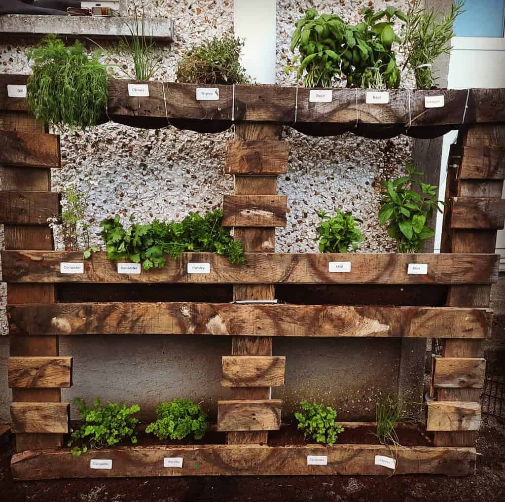wood pallet herb garden