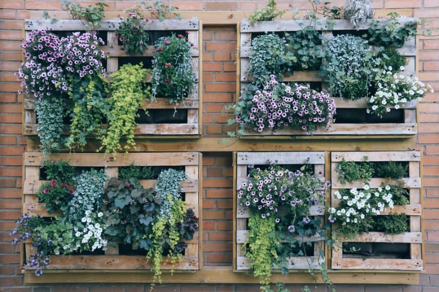 pallet vertical garden