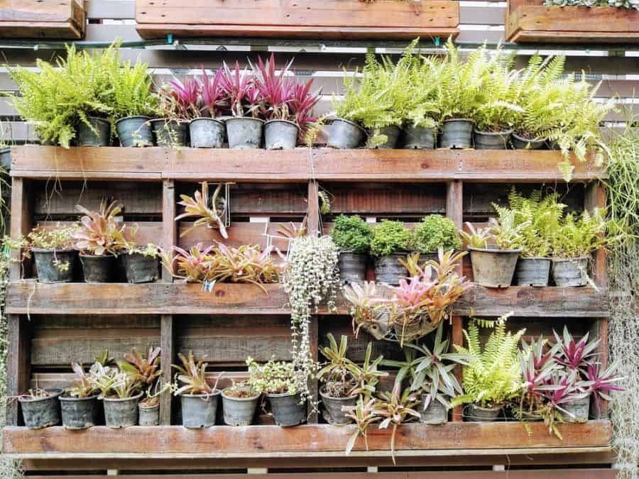 pallet vertical pot plant garden