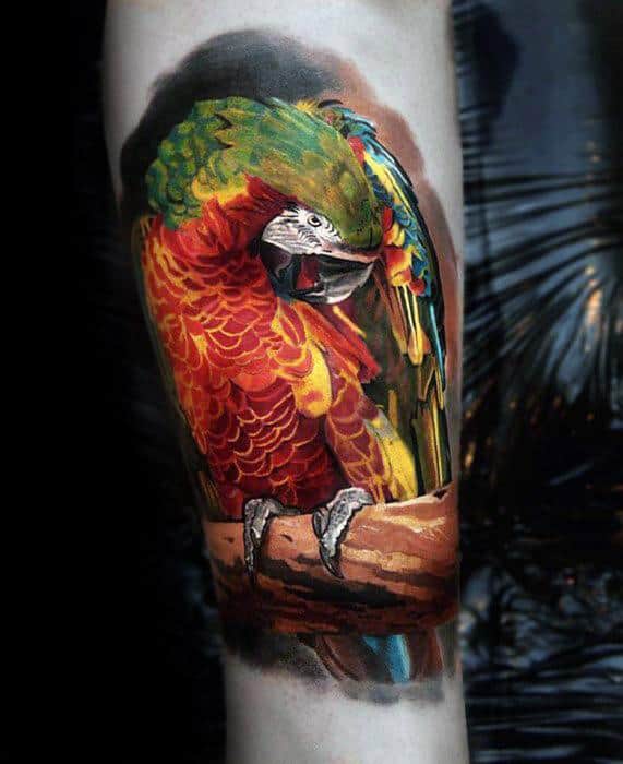 Parrot 3d Realistic Forearm Tattoo Ideas On Guys