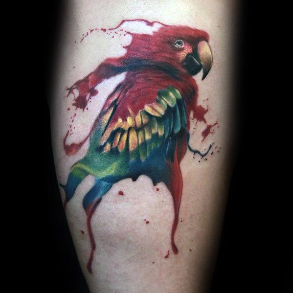 Parrot Tattoos Guys Watercolor Leg Calf Design