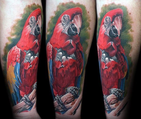 Parrot Tattoos Male On Forearm