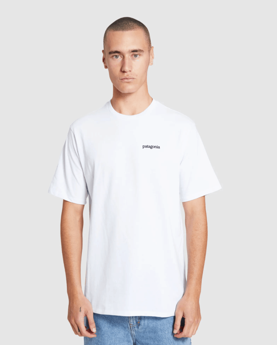 patagonia-tshirt