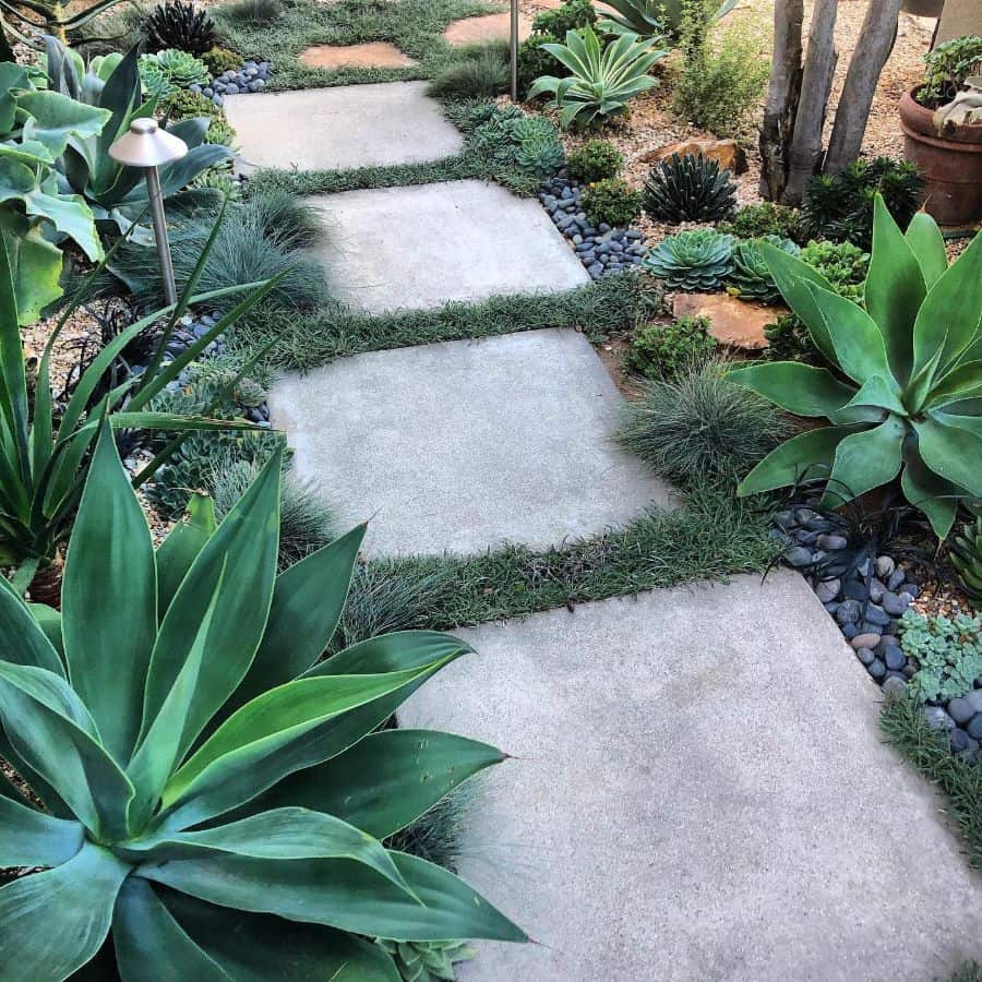 gray stone paver garden pathway succulents