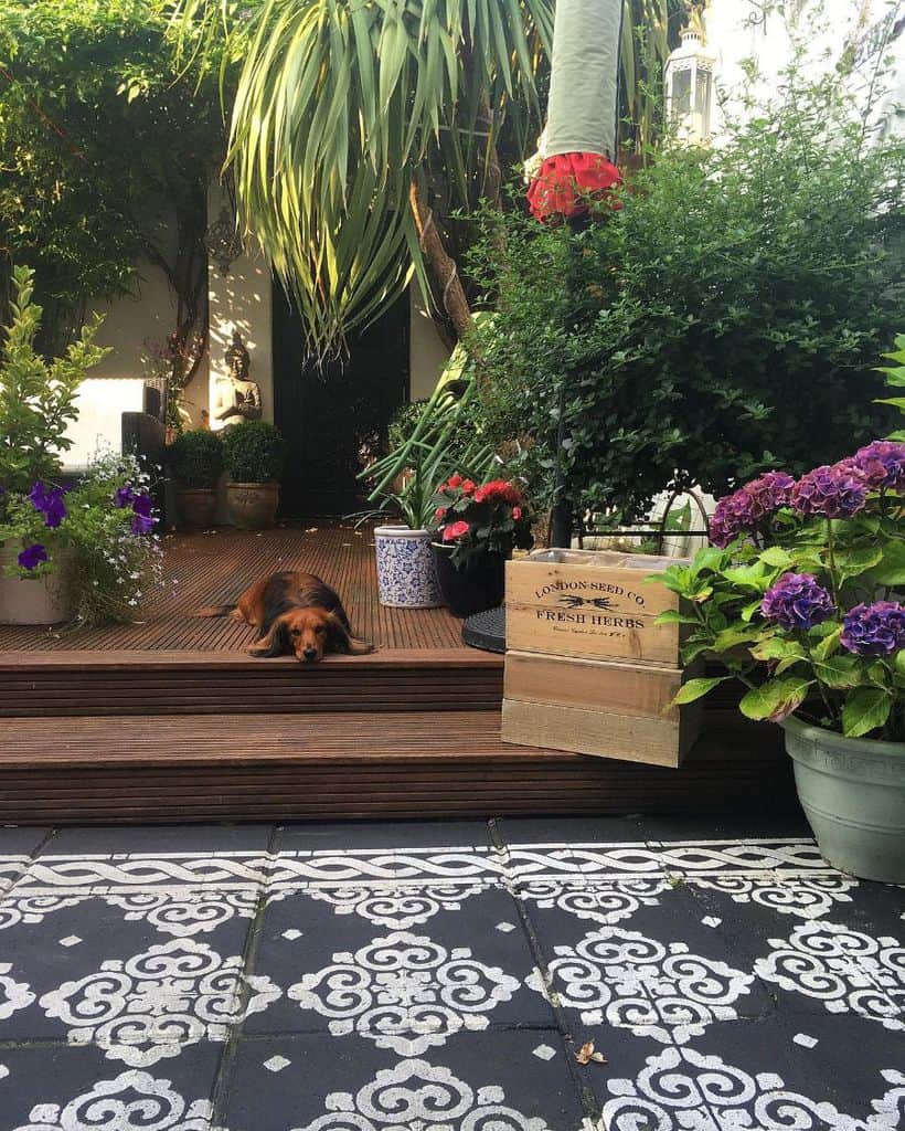 A dog lies on a wooden deck surrounded by lush plants and colorful flowers, with patterned tiles in the foreground