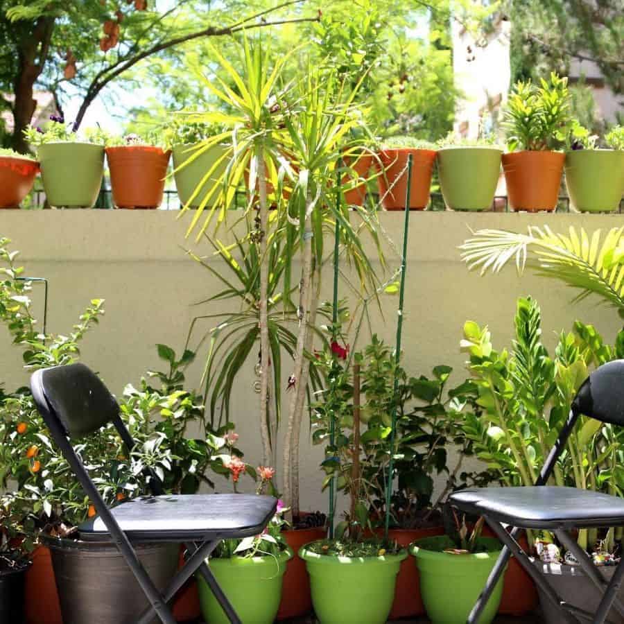 Two black chairs on a balcony surrounded by potted plants, with a white wall and more plants in the background