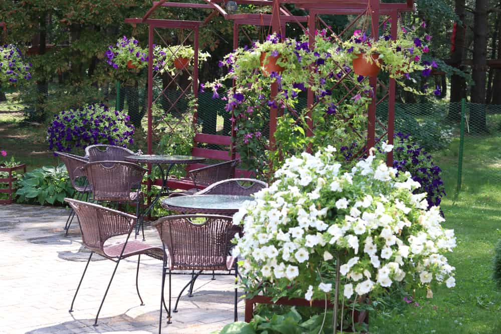 patio flower garden hanging planters wicker furniture glass top tables