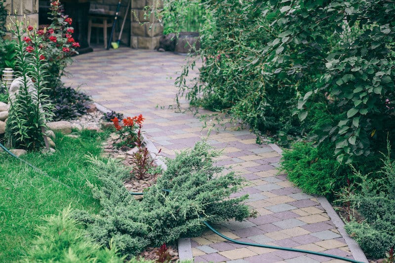backyard paver walkway