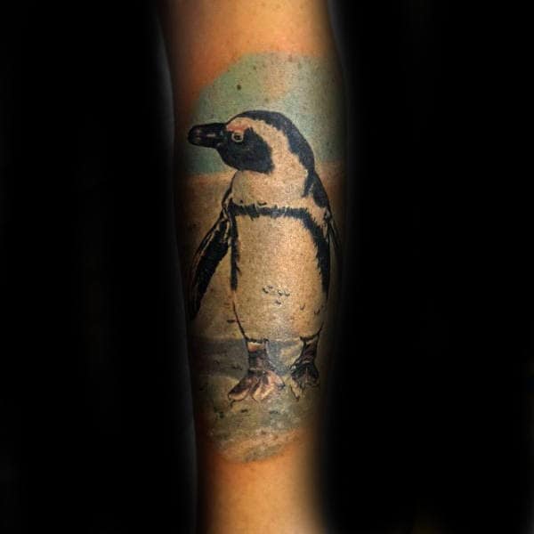 Penguin Portrait Male Forearm Tattoos