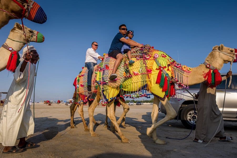 people driving camel