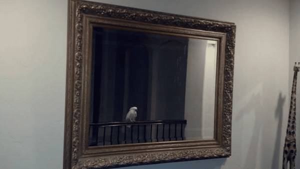 people-selling-mirrors-9