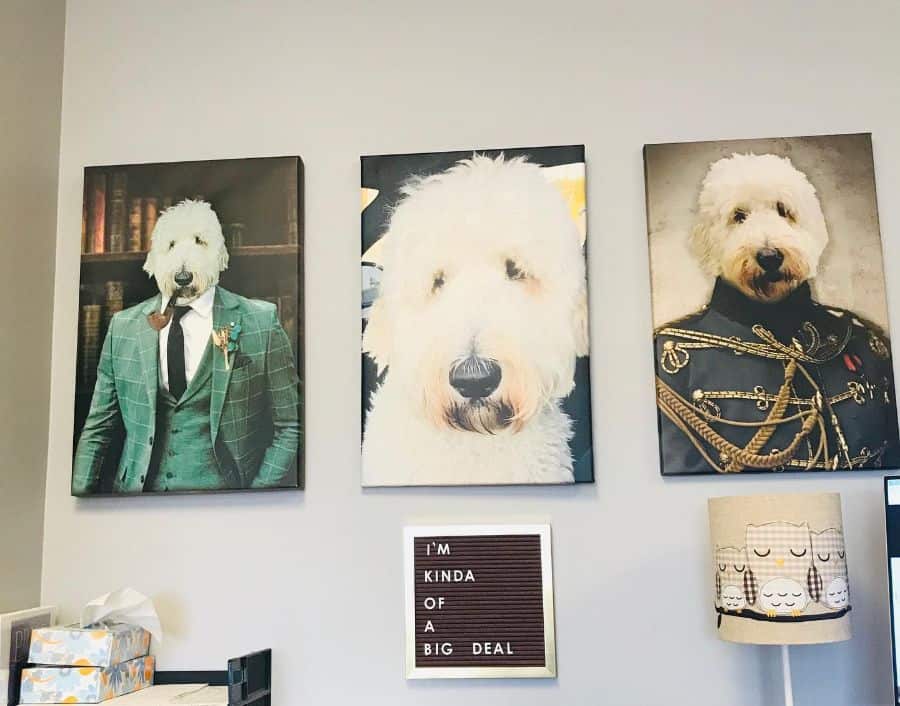 dog art photo wall cubicle decor 