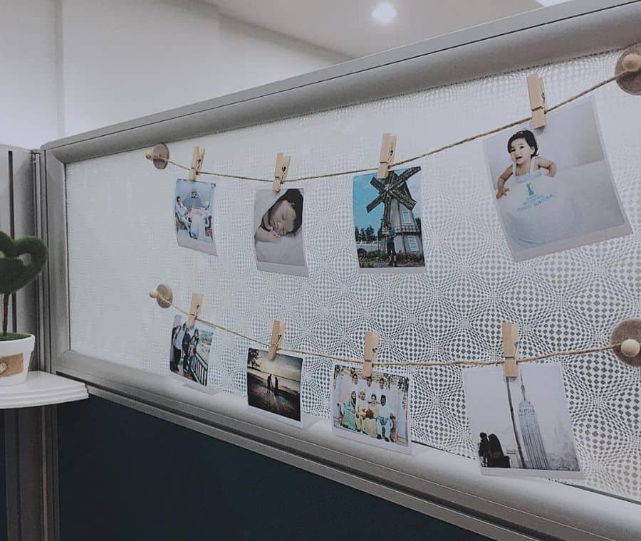 cubicle decor photo wall