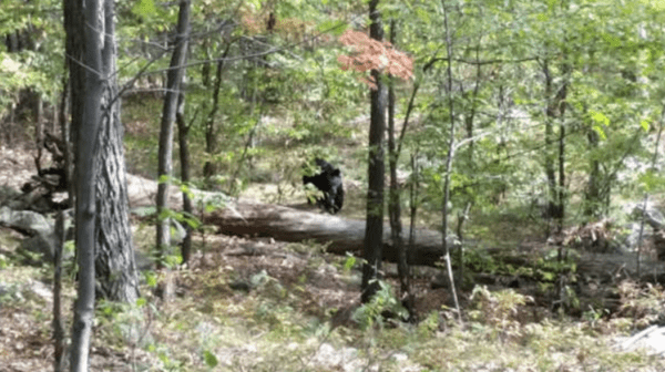 photos-taken-before-disaster-15