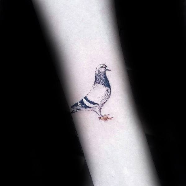 Minimalist fine-line pigeon tattoo on forearm, featuring subtle shading and delicate detail for a clean and elegant look.