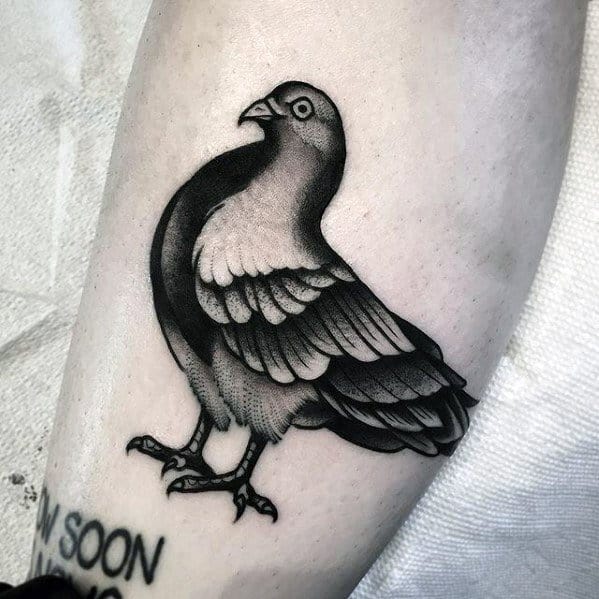 Bold blackwork pigeon tattoo with clean lines and gradient shading, giving a classic and confident feel to a timeless bird design.