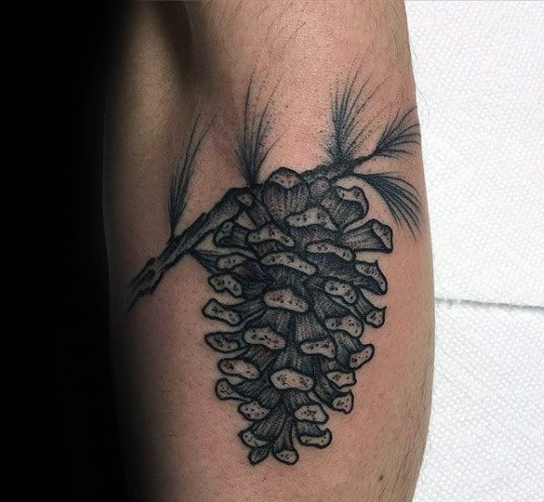 Pine Cone On Branch Guys Arm Tattoos