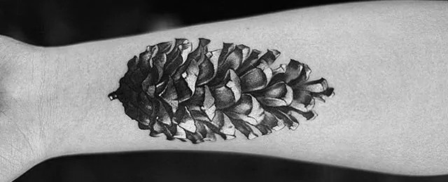 Pine Cone Tattoo Designs For Men