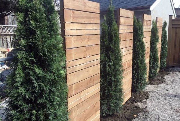 pine tree and wood panels luxury privacy fence