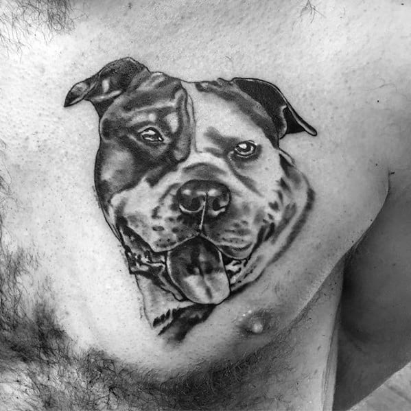 Pitbull Guys Tattoos On Chest