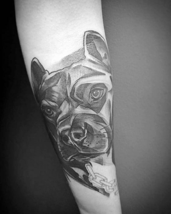 Pitbull Tattoo Design On Mans Forearm